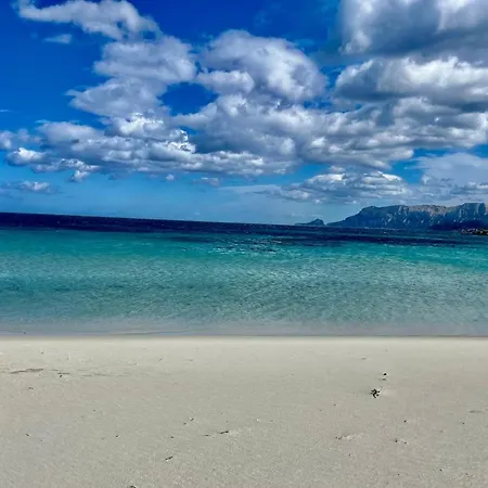 Hotel Stefania Boutique By The Olbia
