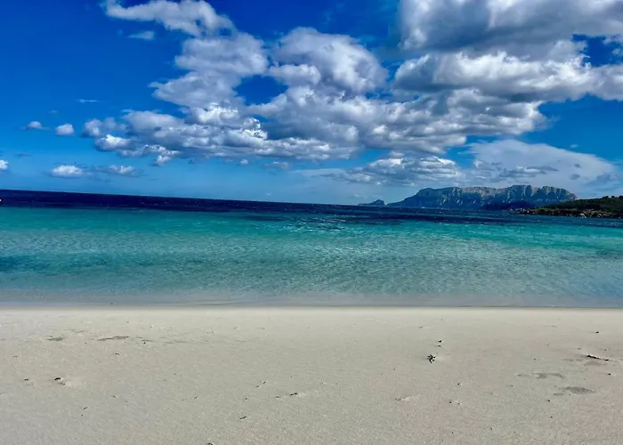 Hotell Stefania Boutique By The Olbia