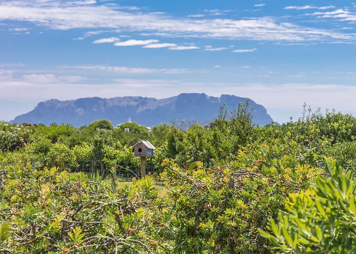 Hotell Stefania Boutique By The Olbia